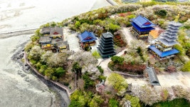 풍경갤러리 - 나두한컷 안면암