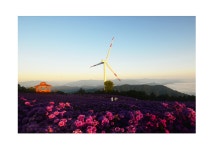 풍경갤러리 - 감악산