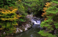 풍경갤러리 - 가야산 계류