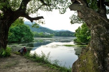 풍경갤러리 - 위양지 엿보기