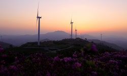 풍경갤러리 -  오늘아침 서광목장  풍경갤러리 - " 오늘아침 서광목장 "