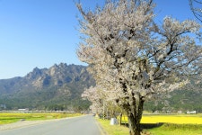 풍경갤러리 - 월출산 가는길