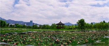 풍경갤러리 - 낙동강 삼락동 강변