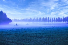 풍경갤러리 - 안개 속의 메타길