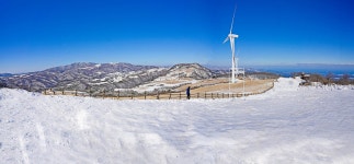 풍경갤러리 - 양떼목장