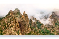 풍경갤러리 - 雪岳의 美