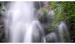 풍경갤러리 - 구시폭포