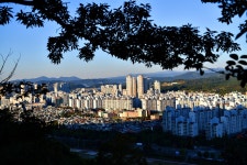 풍경갤러리 - 아침산책 망진산