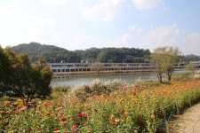 풍경갤러리 - 순천강변의 가을...