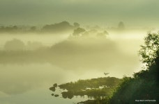 풍경갤러리 - 춘천소양호 물안개