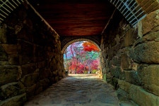 풍경갤러리 - 고국의 산하 - 전등사