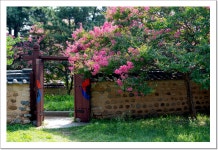 풍경갤러리 - 신숭겸장군 유적지