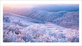 풍경갤러리 - 덕유산의 새아침