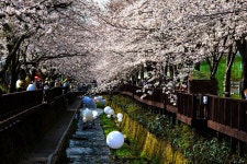 풍경갤러리 - 여 좌 천