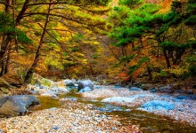 풍경갤러리 - 계곡의 가을