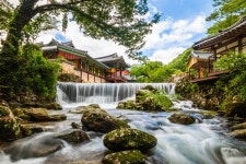 풍경갤러리 - 송광사