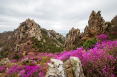 풍경갤러리 - 덕룡산