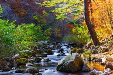 풍경갤러리 - 가을산책(봉화군 석포면 백천계곡)