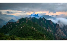 풍경갤러리 - 그리움에 달려간 곳