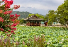 풍경갤러리 - 유등지 군자정