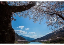 풍경갤러리 - 쌍계사가는길