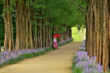 풍경갤러리 - 메타길