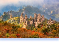 풍경갤러리 - 용아의 멋