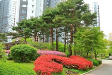 풍경갤러리 - 뜰앞