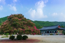 풍경갤러리 - 금산사