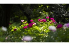 풍경갤러리 - 햇살좋은날