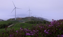 풍경갤러리 -  서광목장 小景  풍경갤러리 - &quot; 서광목장 小景 &quot;