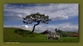 풍경갤러리 - 외솔의 풍경 ------