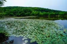 주식회사 연지홀딩스 | 풍경갤러리 - 자연 속의 연지
