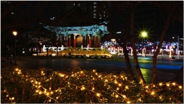 풍경갤러리 - 달구벌대종