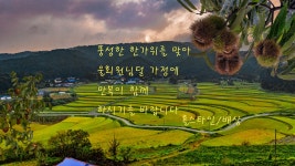 풍경갤러리 - 만복이 함꼐하세요
