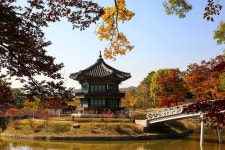 풍경갤러리 - 향원정의 가을