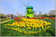 풍경갤러리 - 순천만 정원