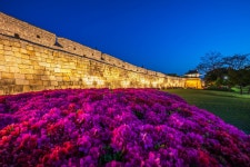 풍경갤러리 - 수원화성 야경