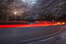 풍경갤러리 - 안민고개.S 라인.