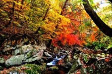 풍경갤러리 - 지암리계곡