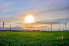 풍경갤러리 - 들녘의 아침