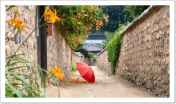 풍경갤러리 - 남평문씨세거지