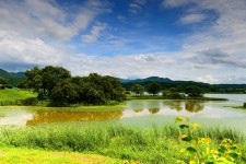 풍경갤러리 - 강변에서