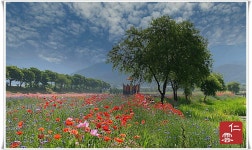 풍경갤러리 - 장성 강변