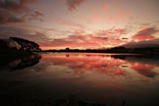 주제갤러리 - 동내 저수지 아침소경.