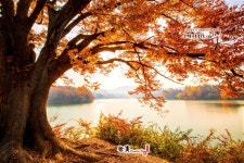 이번주 추천출사지 - 충주 호암지를 소개 합니다.
