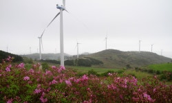 이번주 추천출사지 -  서광목장 소식  이번주 추천출사지 - " 서광목장 소식 "