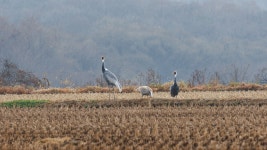 이번주 추천출사지 - 강원도 철원 이길리 곳간 문 열다.