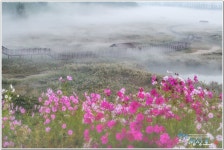 이번주 추천출사지 - 대명천 유수지