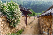 이번주 추천출사지 - 남평문씨 본리세거지